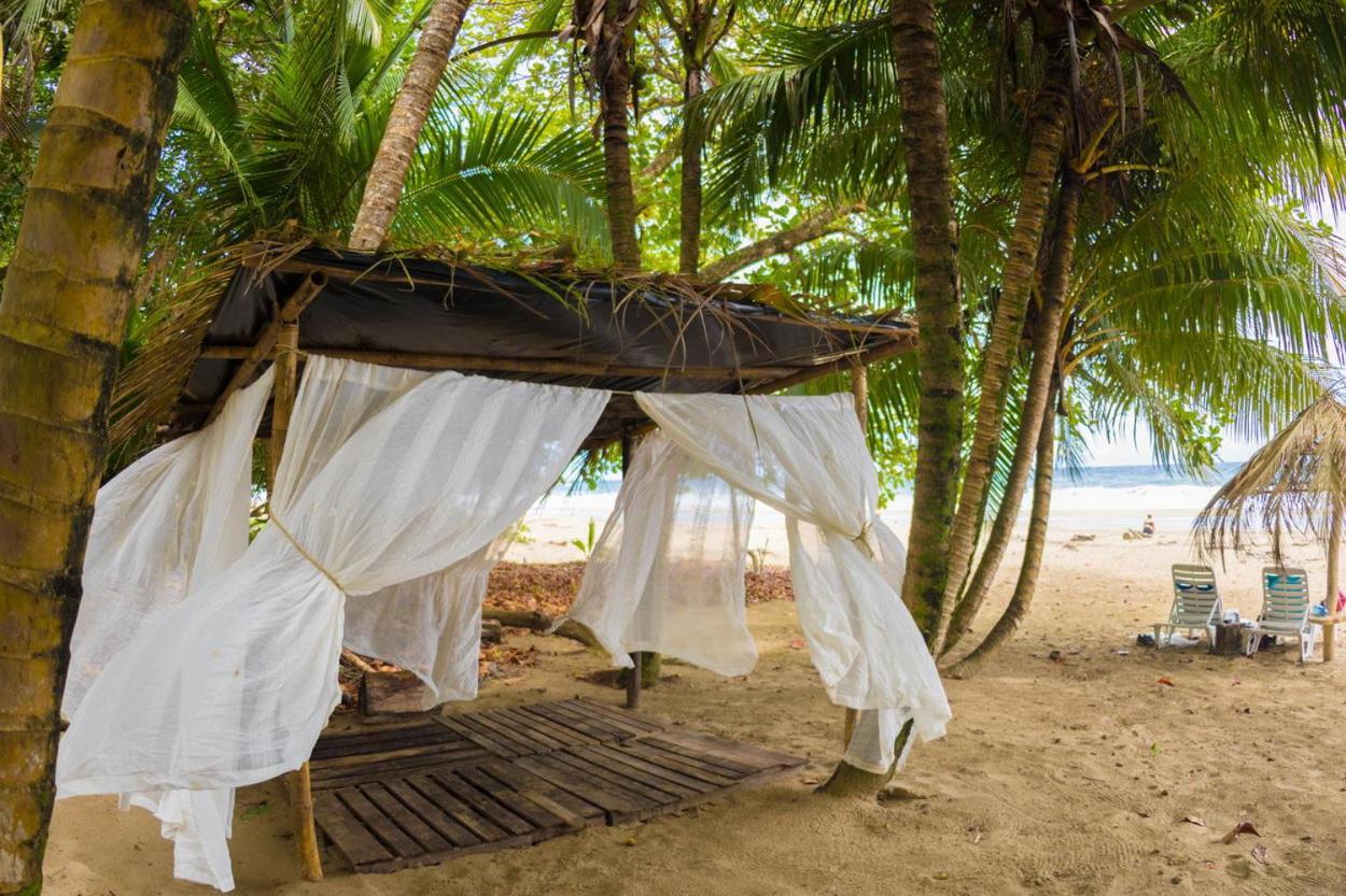 Playa 506 Beachfront Hostel Puerto Viejo de Talamanca エクステリア 写真