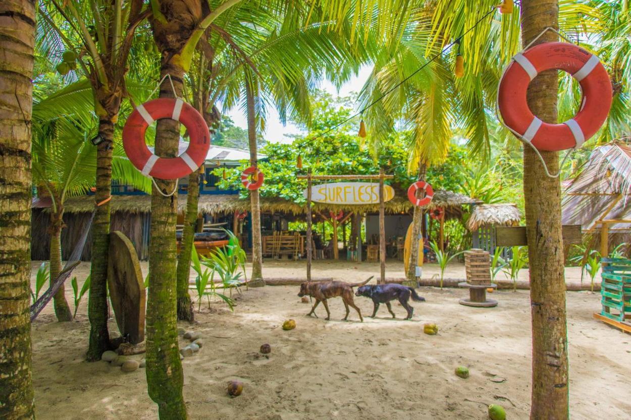 Playa 506 Beachfront Hostel Puerto Viejo de Talamanca エクステリア 写真