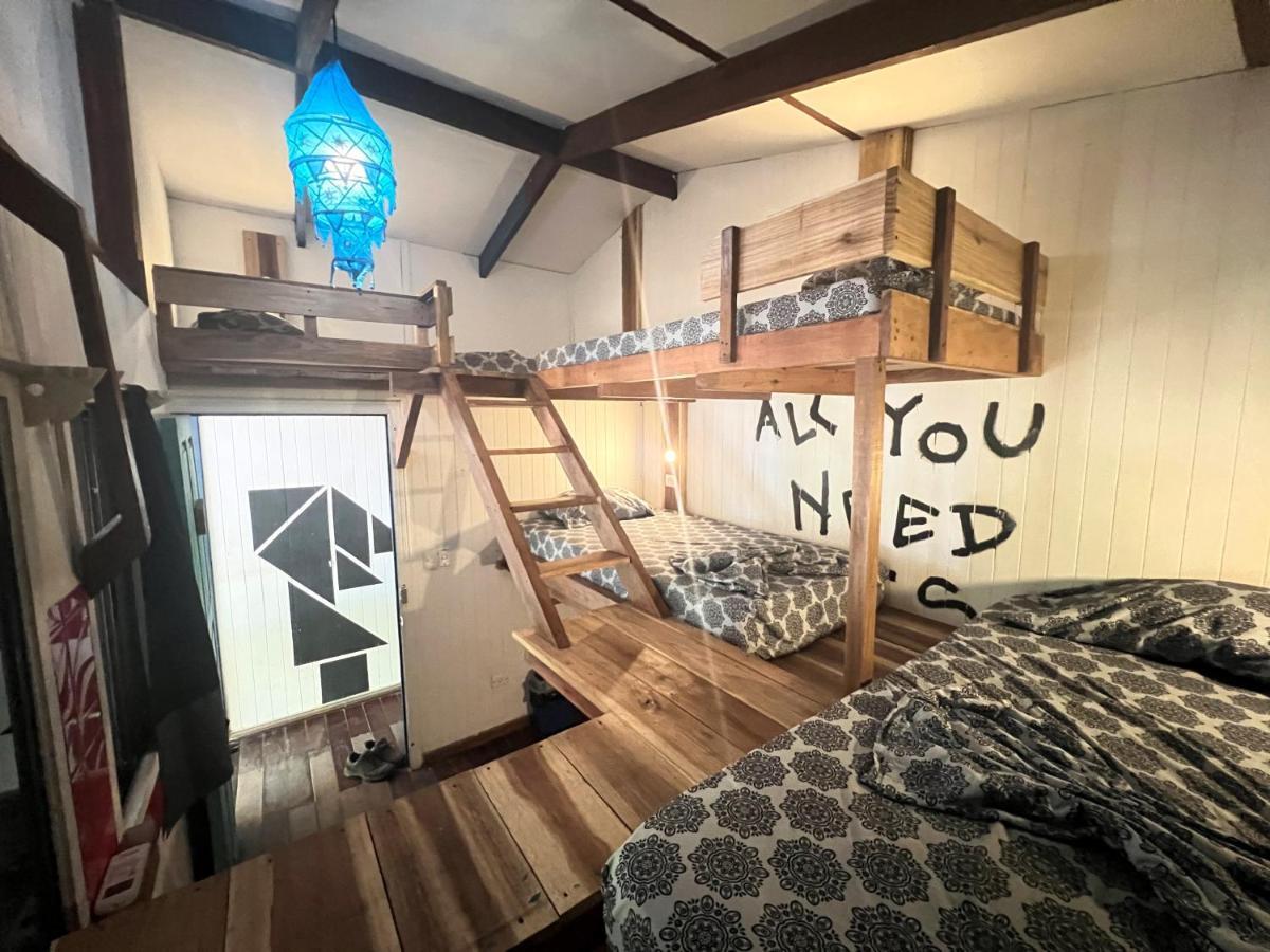 Playa 506 Beachfront Hostel Puerto Viejo de Talamanca エクステリア 写真