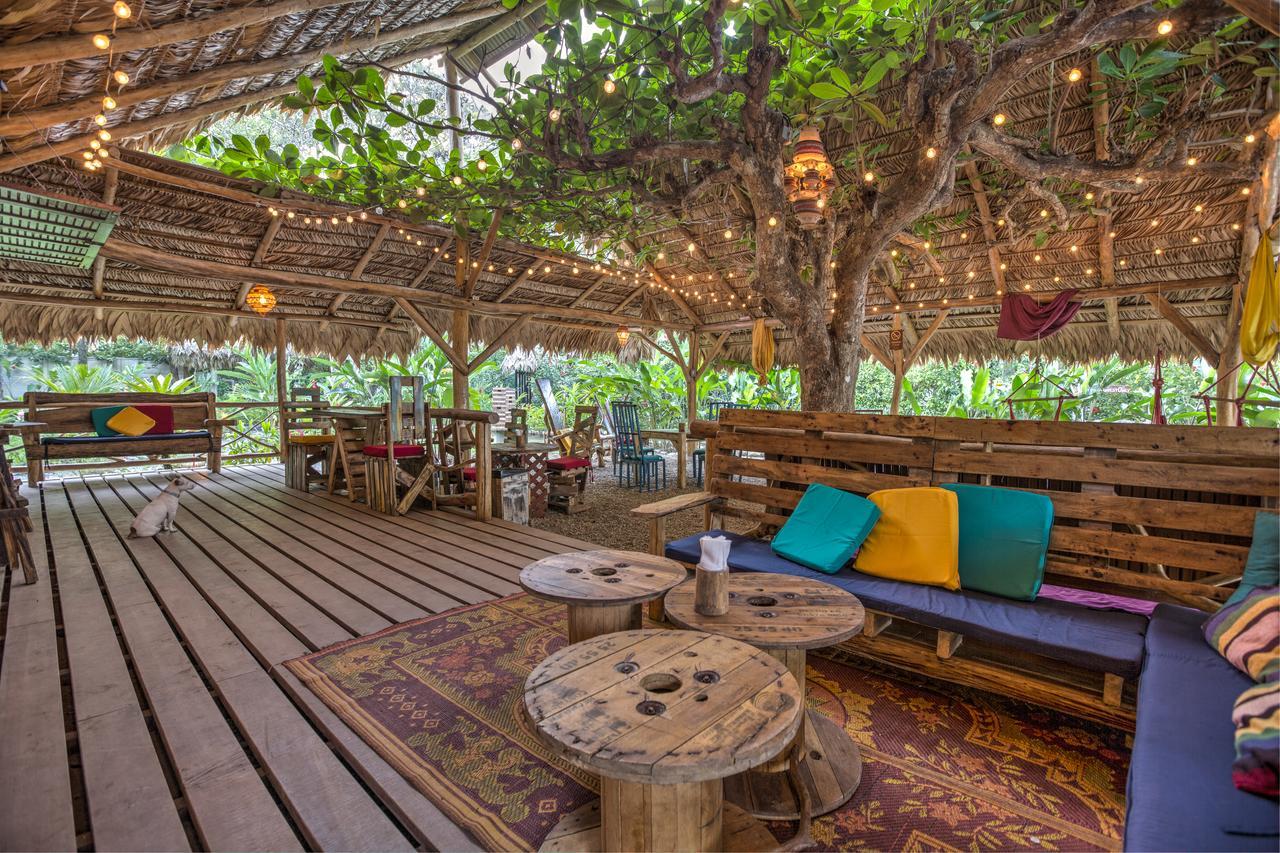 Playa 506 Beachfront Hostel Puerto Viejo de Talamanca エクステリア 写真
