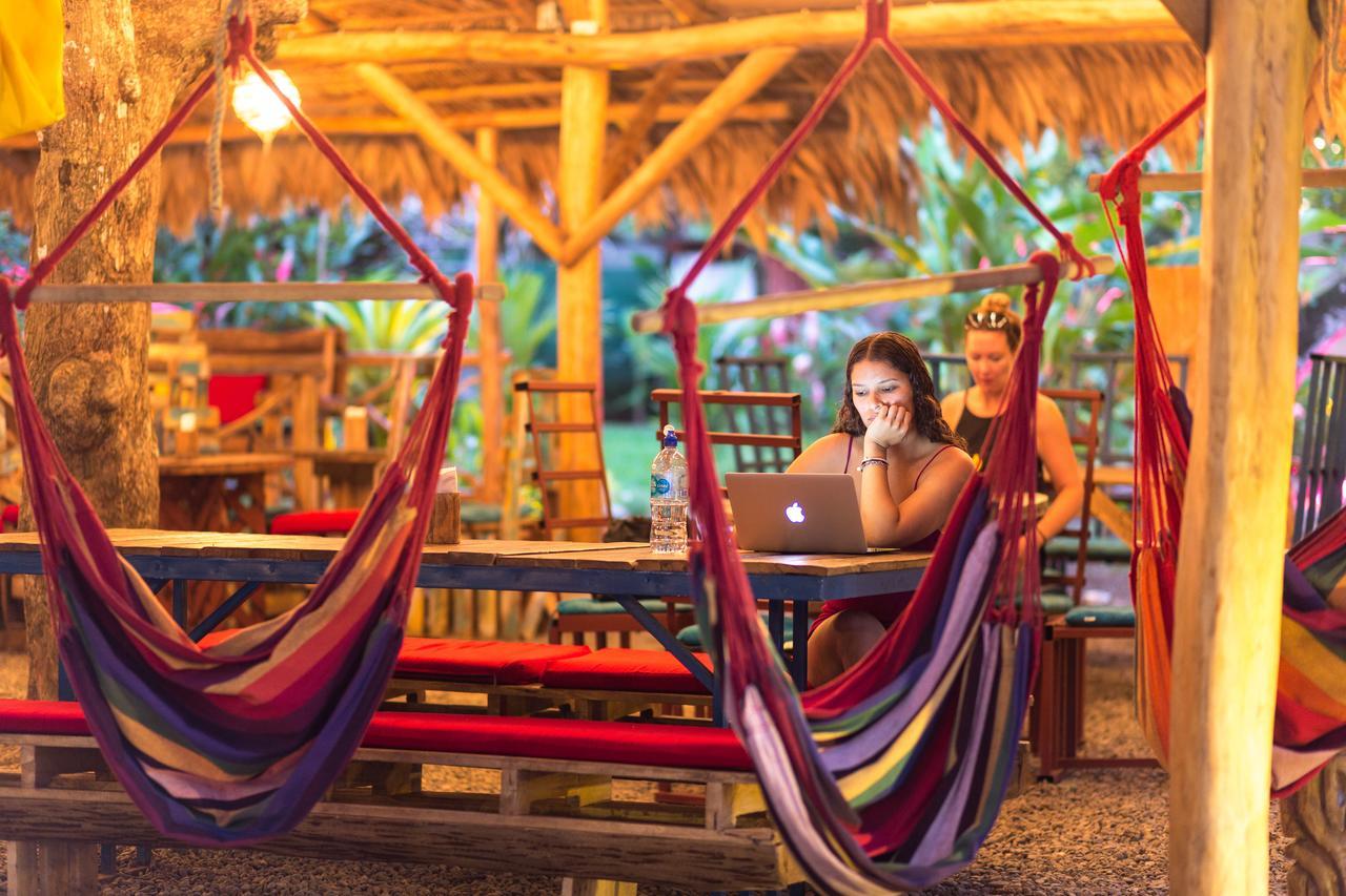Playa 506 Beachfront Hostel Puerto Viejo de Talamanca エクステリア 写真