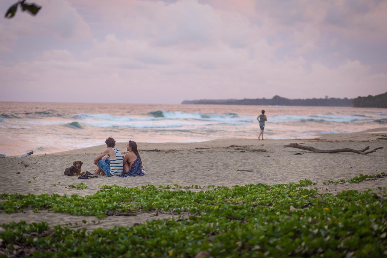 Playa 506 Beachfront Hostel Puerto Viejo de Talamanca エクステリア 写真