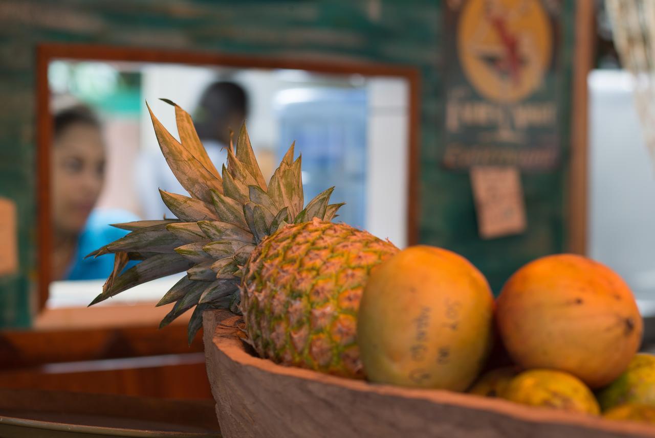 Playa 506 Beachfront Hostel Puerto Viejo de Talamanca エクステリア 写真