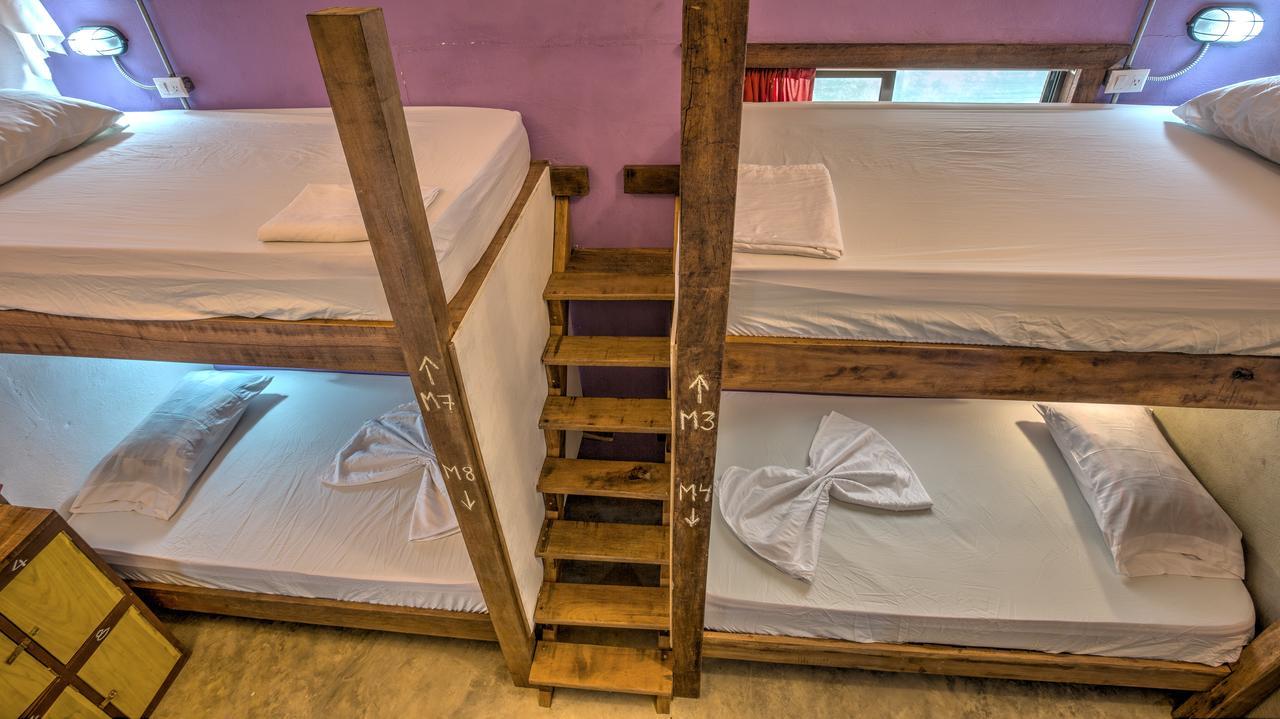 Playa 506 Beachfront Hostel Puerto Viejo de Talamanca エクステリア 写真