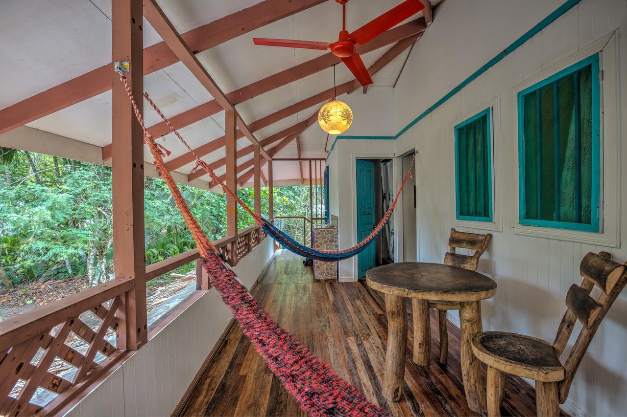 Playa 506 Beachfront Hostel Puerto Viejo de Talamanca エクステリア 写真