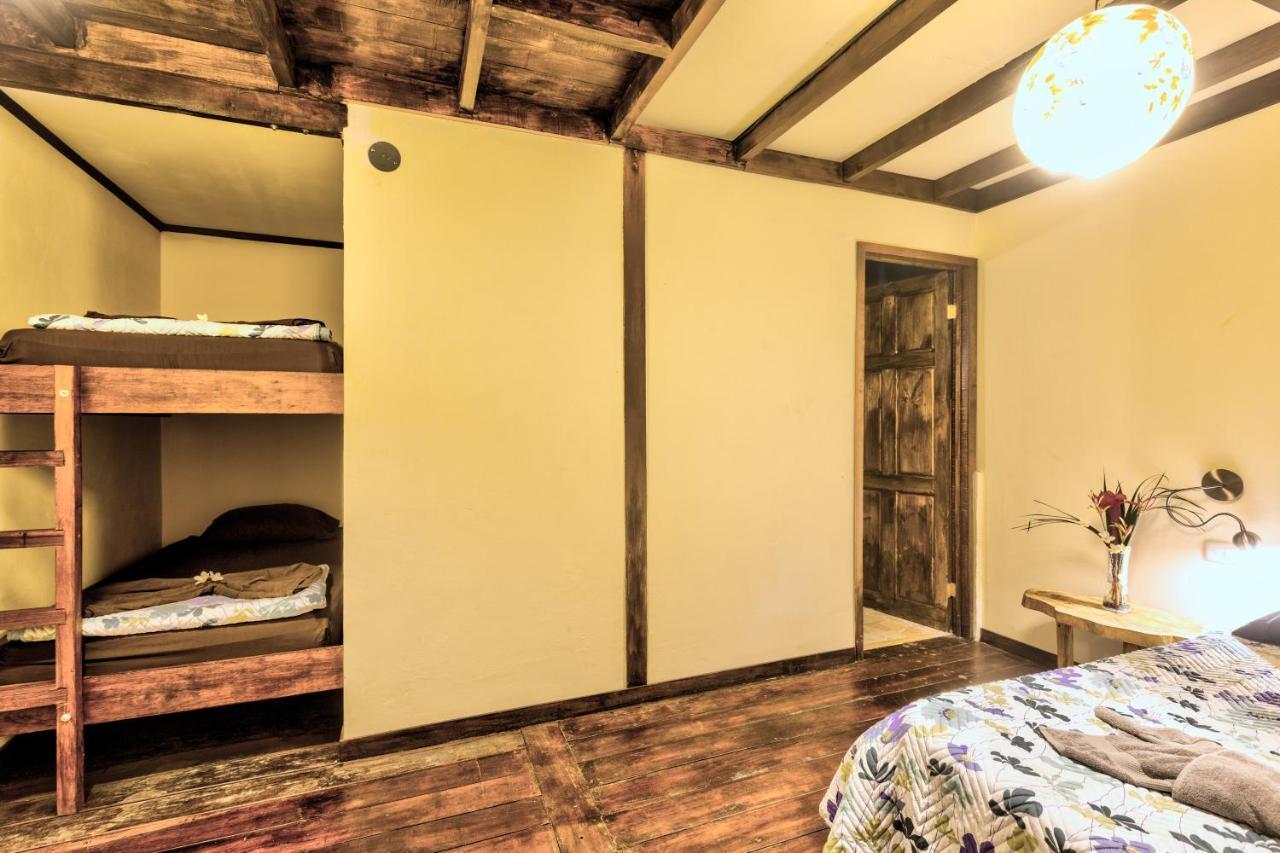 Playa 506 Beachfront Hostel Puerto Viejo de Talamanca エクステリア 写真